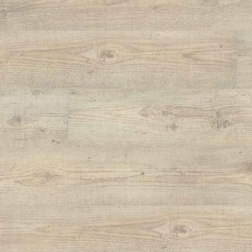 Слоистый пол из ДВП - 500 XL V4 : DENALI PINE - windmöller flooring products WFP GmbH - с клипсой / имитация дерева / для бытового использования