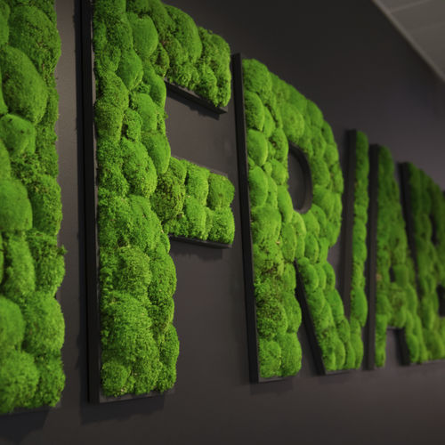 Стабилизированная живая изгородь - GREEN LOGOS - Greenmood - мох / натуральная / из стабилизированного мха