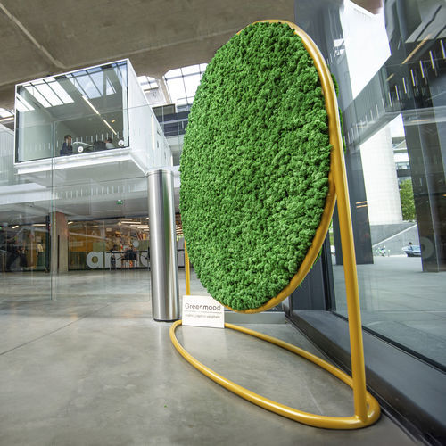Стабилизированная живая изгородь - G-SCREENS - Greenmood - мох / листва / из стабилизированного мха