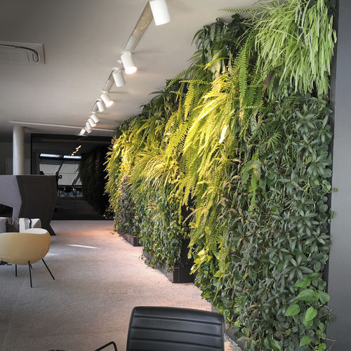 Стабилизированная "зеленая стена" - VERTICAL  - Green Urban Life GmbH - из живых растений / из модульных панелей / на заказ