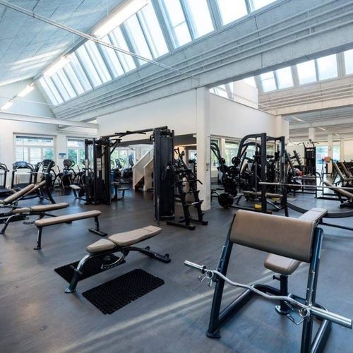 Напольное покрытие из каучука - ENDURANCE S&S - Pavigym - для интерьера / для спортзала / для профессионального использования
