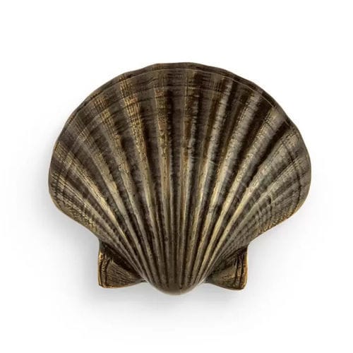 Ручка для мебели из латуни - SEASHELL OC2040 - PullCast - очищенная / полированная / под старину