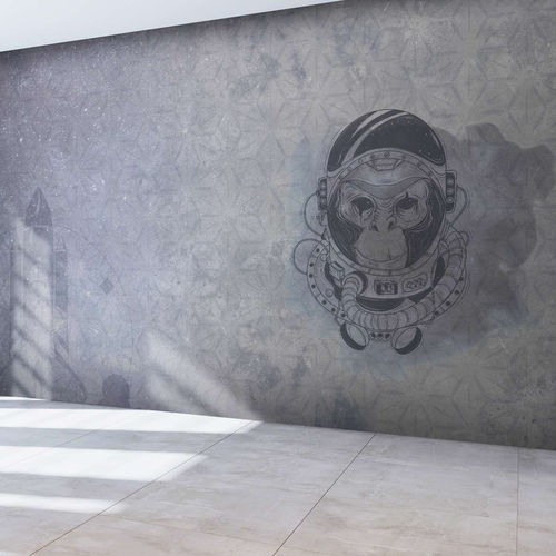 Современный обои - SPACE MONKEY - WallyArt - из нетканых материалов / из стекловолокна / виниловый