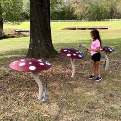 Музыкальная игровая конструкция - MUSHROOM    - Nature of Early Play - для игровой площадки / из металла