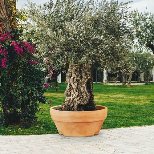 Кадка для садовых растений из вращательно формованного полиэтилена - ROME : URSUS - MONACIS - круглая / устойчивая к атмосферным воздействиям / устойчивая к УФ-лучам