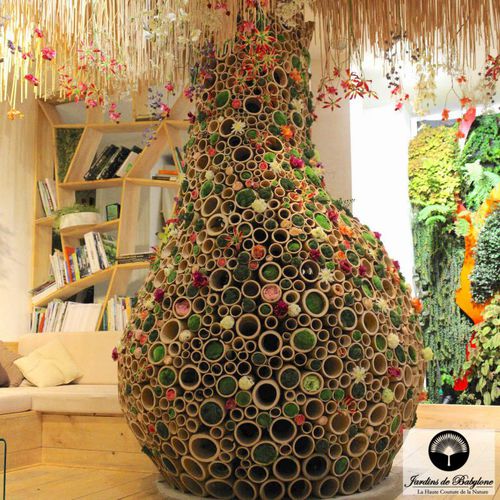 Домашний огород - THE MAJESTIC BAMBOO BAOBAB - Jardins de Babylone