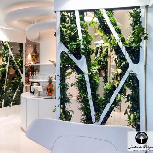 Стабилизированная живая изгородь - THE “GRAND LARGE” LOUNGE - Jardins de Babylone - листва / мох / для интерьера