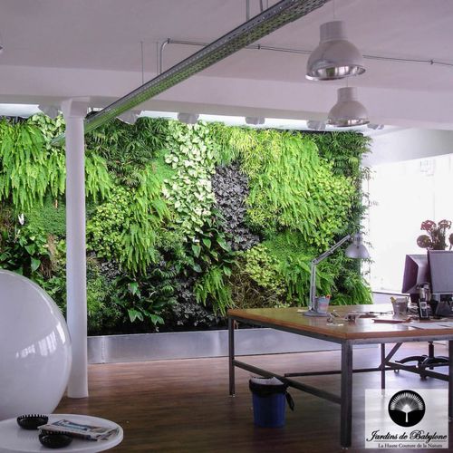 Стабилизированная "зеленая стена" - UTOPIES COMPANY - Jardins de Babylone - из модульных панелей / натуральная / листва
