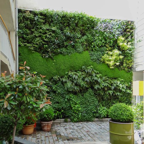 Стабилизированная "зеленая стена" - JULES AND JIM HOTEL PARIS - Jardins de Babylone - из модульных панелей / натуральная / мох