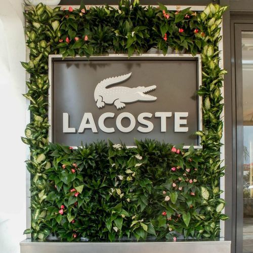 lacoste brand