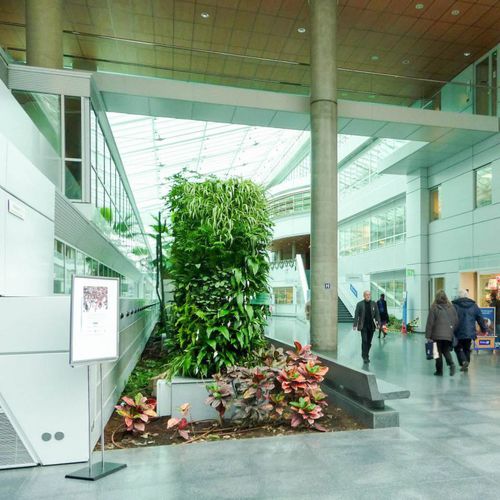 Стабилизированная "зеленая стена" - EUROPEAN HOSPITAL GEORGES-POMPIDOU - Jardins de Babylone - из модульных панелей / натуральная / листва