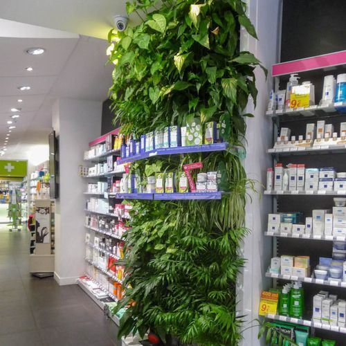 Стабилизированная "зеленая стена" - BASIRE PHARMACY - Jardins de Babylone - из модульных панелей / натуральная / листва