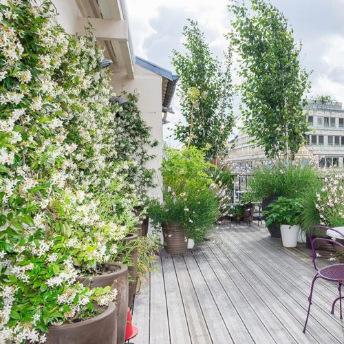 "зеленая крыша" - FÉDÉRATION FRANÇAISE DE LA TANNERIE MÉGISSERIE - Jardins de Babylone