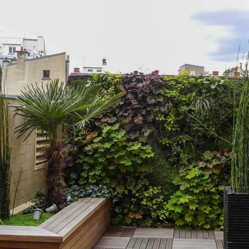 Стабилизированная "зеленая стена" - RESTYLING WITH PLANTS IN THE HEART OF PARIS - Jardins de Babylone - из модульных панелей / натуральная / для наружного применения