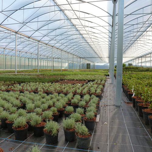 Теплица для профессионального использования - 9.60M ATLANTIQUE HORTICULTURAL - Serres Jrc - для садоводства / с несколькими сводами / алюминиевая конструкция