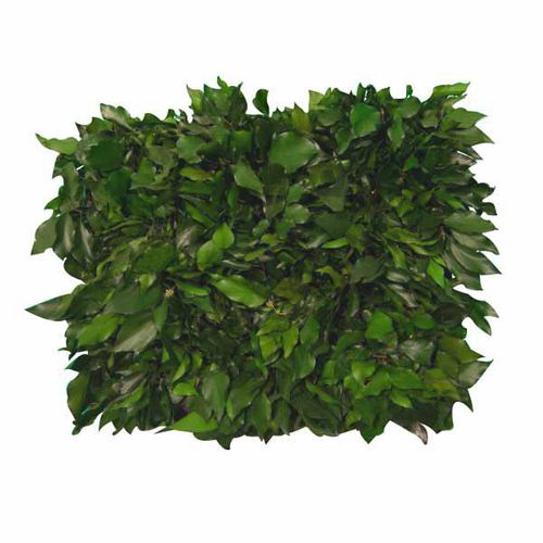 Кадка для садовых растений из полимера - FVS-501-16 - green Habitat - прямоугольная / модульная / вертикальная
