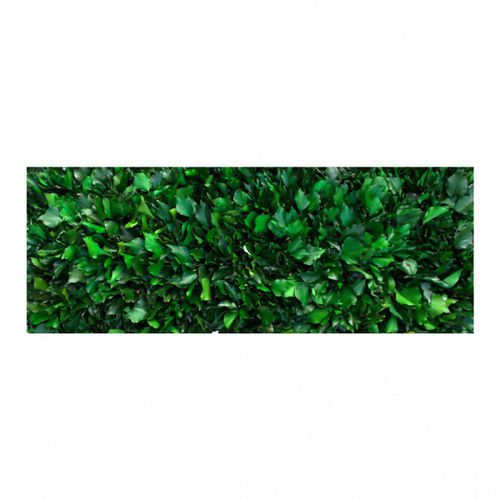 Стабилизированная "зеленая стена" - GVS-500-16 - green Habitat - из модульных панелей / натуральная / для интерьера