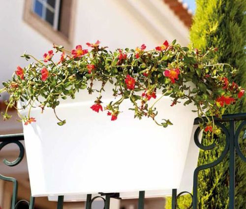 Садовый горшок из полипропилена - CAPRI : BALCONY BOX  - Artevasi, S.A - видимый / прямоугольный