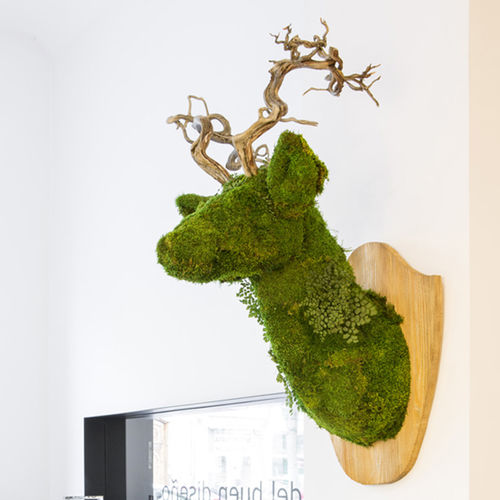 Стабилизированная живая изгородь - ANIMOSS - DEERMOSS - Greenarea - мох / для интерьера / подвесная
