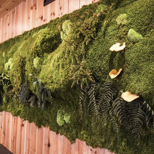 Акустическая панель для стены - MOSS&PLANTS MID - Greenarea - с закрепленными растениями / прямоугольная / для офиса