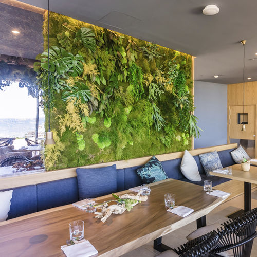 Домашний огород - MOSS&PLANTS MID - Greenarea