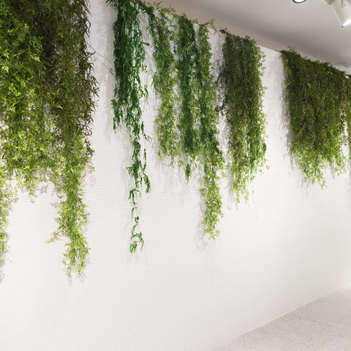 Стабилизированное декоративное растение - MOSS&PLANTS HANGING PLANT - Greenarea - подвесное / для интерьера