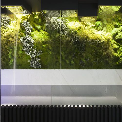 Стабилизированная "зеленая стена" - MOSS&PLANTS MID - Greenarea - из модульных панелей / на заказ / натуральная