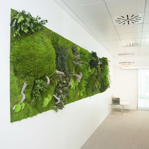 Акустическая панель для стены - MOSS&PLANTS MID 3D - Greenarea - с закрепленными растениями / прямоугольная / текстурированная