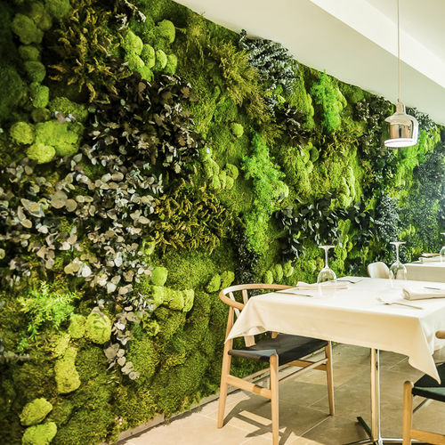 Стабилизированная "зеленая стена" - Moss&Plants Mid - Greenarea - из модульных панелей / натуральная / мох