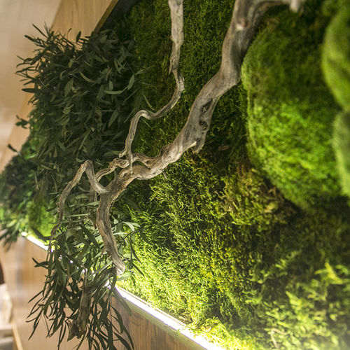Стабилизированная "зеленая стена" - MOSS&PLANTS MID 3D  - Greenarea - на заказ / натуральная / листва