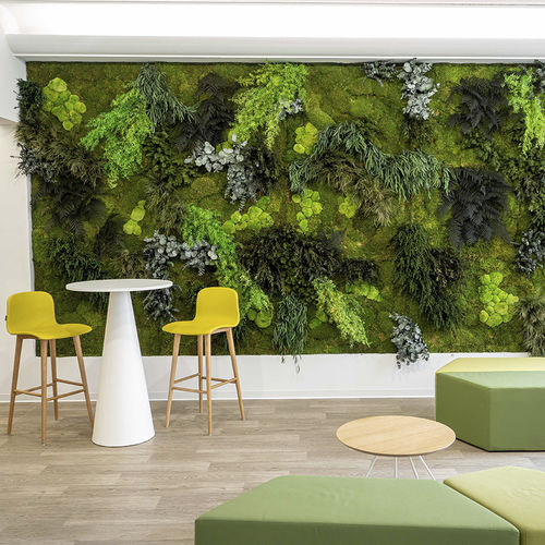Стабилизированный Вертикальный сад - MOSS&PLANTS MID - Greenarea - из модульных панелей / мох / для офиса