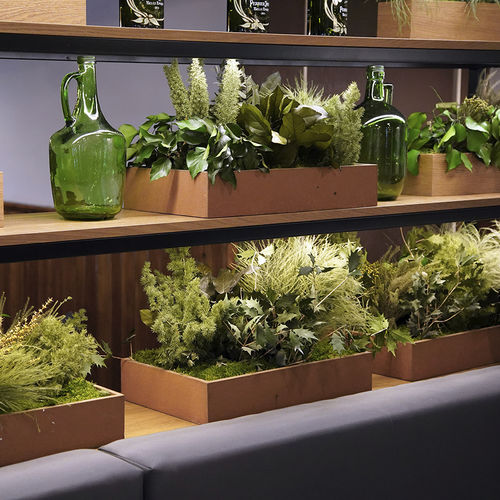 Кадка для садовых растений дерево - MOSS&amp;PLANTS MID - Greenarea - прямоугольная / квадратная / на заказ