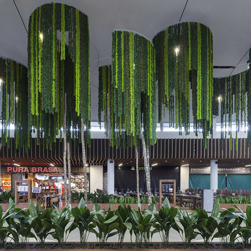 Длинный стабилизированный лишайник - LICHEN LIANAS - Greenarea - для подвесных потолков