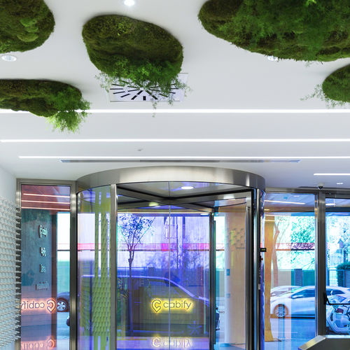 Подвесной потолок из панелей - MOSS&PLANTS MID - Greenarea - озелененный / декоративный