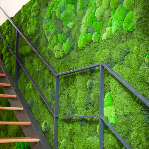 Стабилизированный Вертикальный сад - BASIC MOSS - Greenarea - мох / для интерьера / биоклиматический