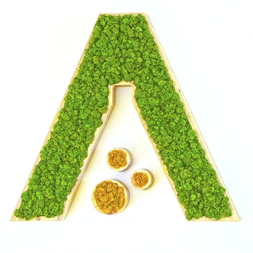 Стабилизированная живая изгородь - MOSS IDENTITY - Greenarea - из стабилизированного мха / для интерьера / по индивидуальному заказу