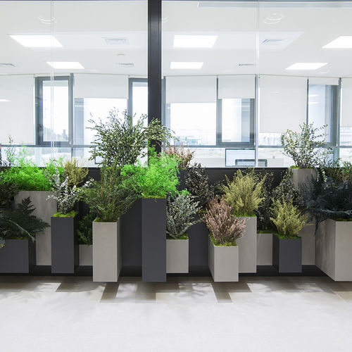 Стабилизированное декоративное растение - MOSS&amp;PLANTS PLANTERS - Greenarea - малого размера / среднего размера / большого размера