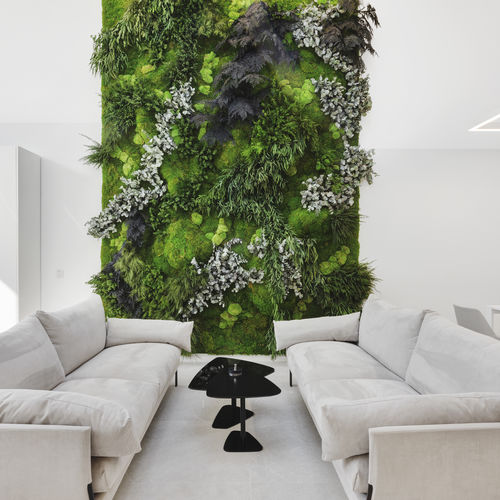Стабилизированная "зеленая стена" - MOSS&PLANTS MID - Greenarea - из модульных панелей / на заказ / листва