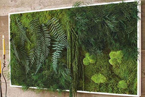 Стабилизированная живая изгородь - PAINTINGS VEGETAL MAXI - BM PIANTE STABILIZZATE - мох / листва / для интерьера