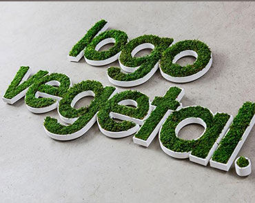 Стабилизированная живая изгородь - PERSONALIZED LOGOS IN MOSS - BM PIANTE STABILIZZATE - мох / натуральная / для интерьера