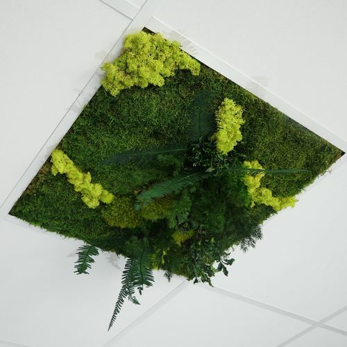 Подвесной потолок из ПЭТФ - Verde - Végétal Indoor - из плит / для интерьера / акустический