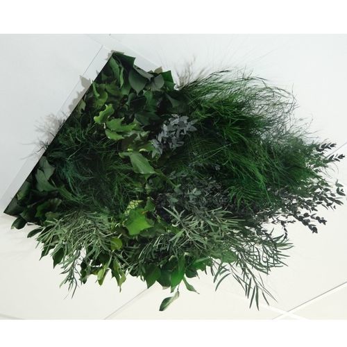 Подвесной потолок из ПЭТФ - Jungle - Végétal Indoor - из плит / для интерьера / акустический