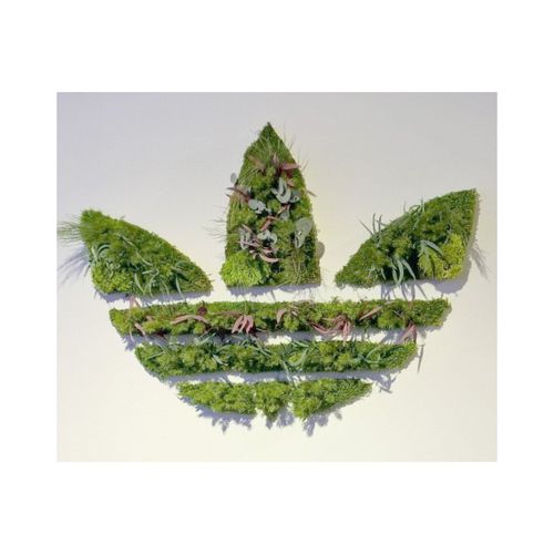 Стабилизированная живая изгородь - STABILIZED LOGO - PLANTE STABILISEE - натуральная / из стабилизированного мха / цветы