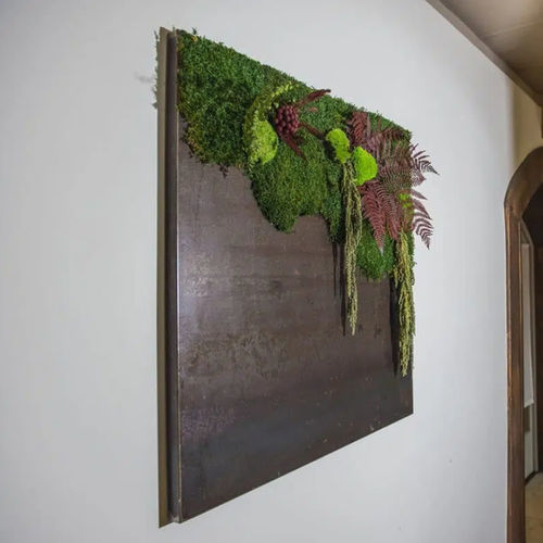 Стабилизированная живая изгородь - AIR SHOWCASE - LinfaDecor - из стабилизированного мха / для интерьера / из модульных панелей
