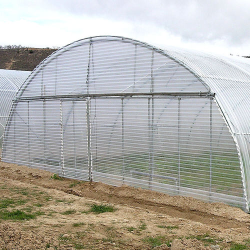 Теплица для профессионального использования - TUNNEL  - ULMA Agricola - для садоводства / промышленная / однопролётная