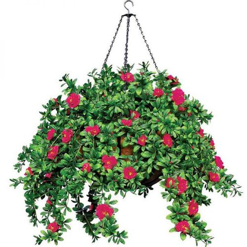 Садовый горшок из кованого железа - AZALEA - PLANTERS UNLIMITED - из кокосового ореха / подвесной / круглый