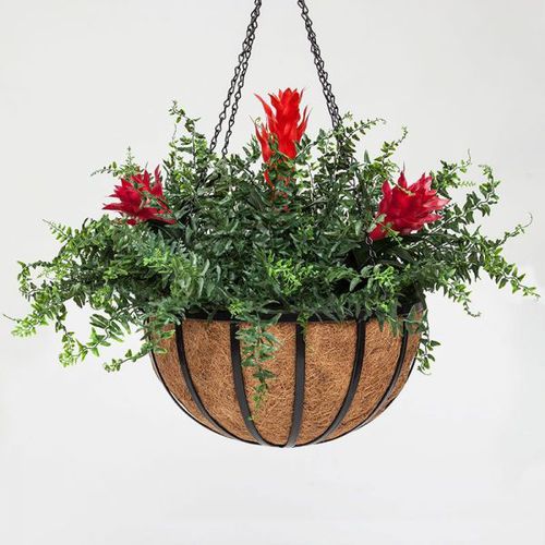 Садовый горшок из стали - BROMELIAD - PLANTERS UNLIMITED - из кокосового ореха / подвесной / круглый