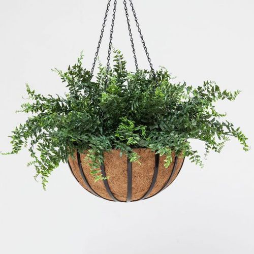 Садовый горшок из стали - FERN - PLANTERS UNLIMITED - из кокосового ореха / подвесной / круглый