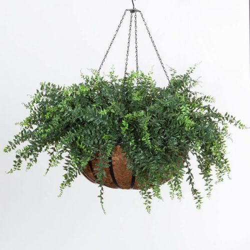 Садовый горшок из кованого железа - BUCKLER FERN - PLANTERS UNLIMITED - из стекловолокна / подвесной / круглый