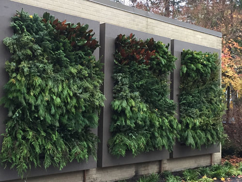 "зеленая стена" из живых растений - CUT GREENS FOR CHRISTMAS - LiveWall - натуральная / для наружного применения